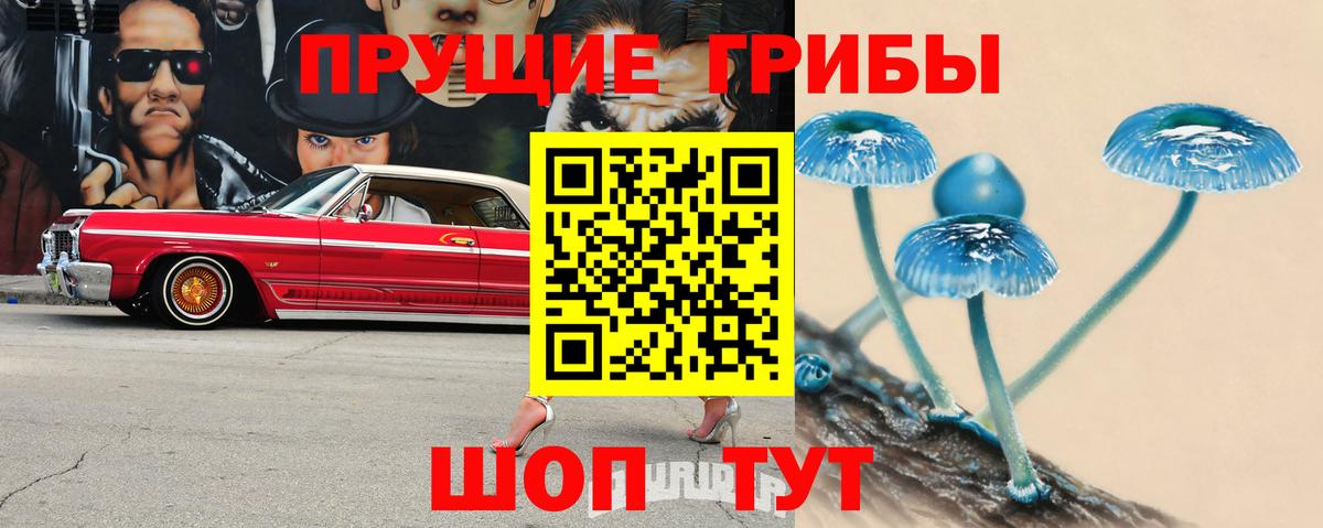 Галлюциногенные грибы Cubensis  Вход с VPN  даркнет сайт  Лосино-Петровский 